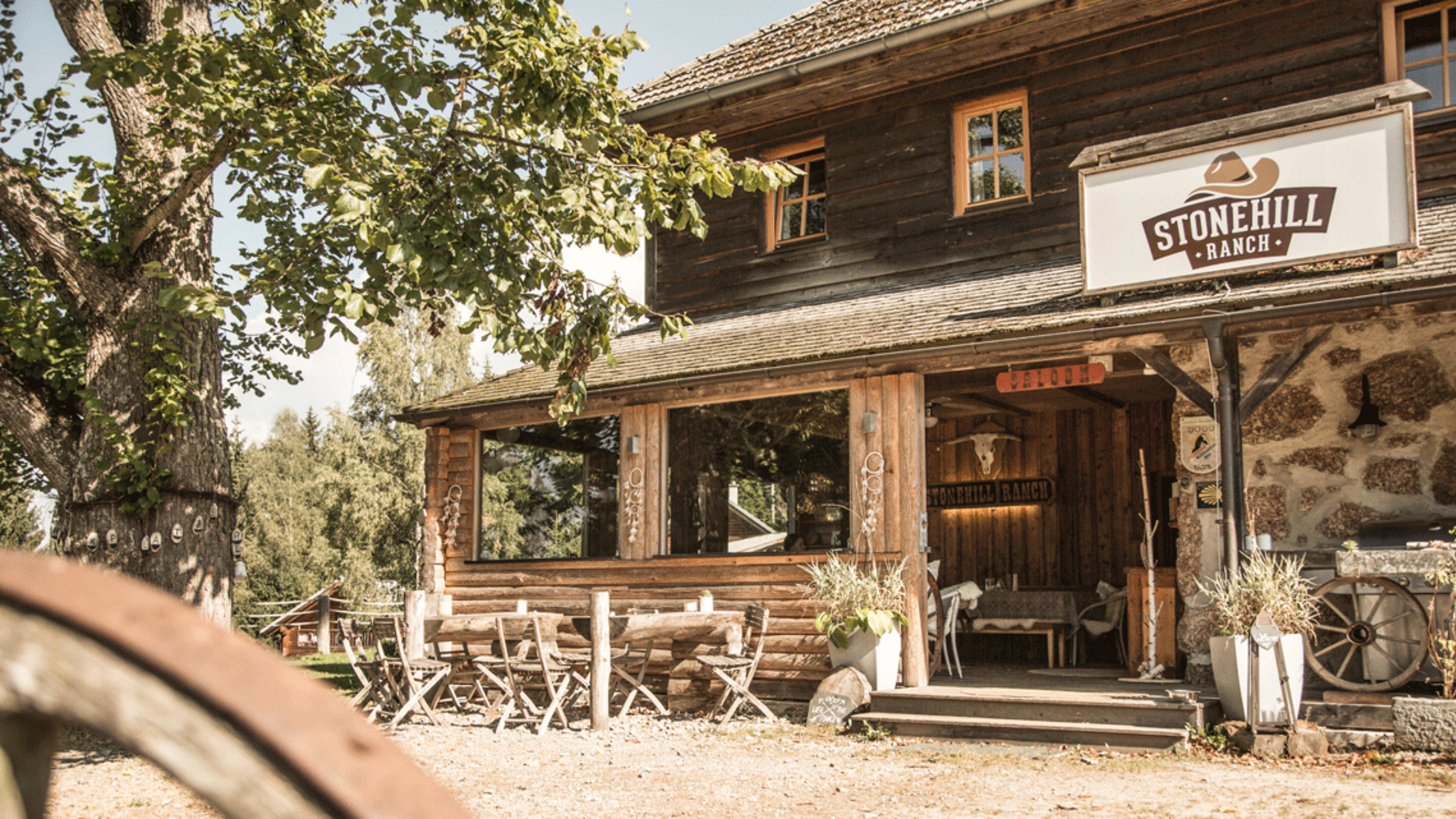 Fr Herren derzeit ausgebucht! mondseeland singles kennenlernen outdoor wandern ooe micheldorf bankerl roas singlewandern singles treffen ooe. O Micheldorf/O (4563), Organisator: Wir besuchen in einer gemtlichen Wanderung 4 aussichtsreiche Bankerl rund um die Burg Altpernstein, von denen jedes Obersterreich Singles treffen und kennenlernen beim