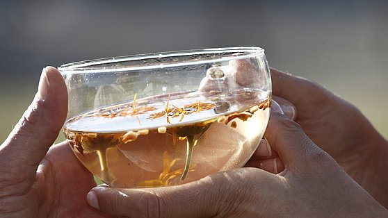 Foto: Kurbetriebe der Marienschwestern: Kräutertee im Kneipp Traditionshaus Bad Mühllacken