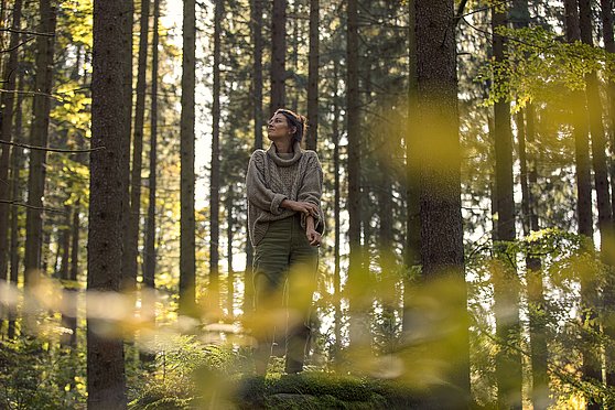 Foto Oberösterreich Tourismus GmbH/Stefan Mayerhofer: Bei einem Spaziergang durch Oberösterreichs Wälder neue Energie tanken