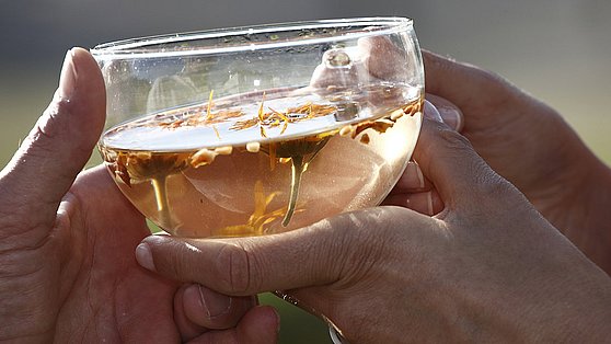 Foto: Kurbetriebe der Marienschwestern: Kräutertee im Kneipp Traditionshaus Bad Mühllacken