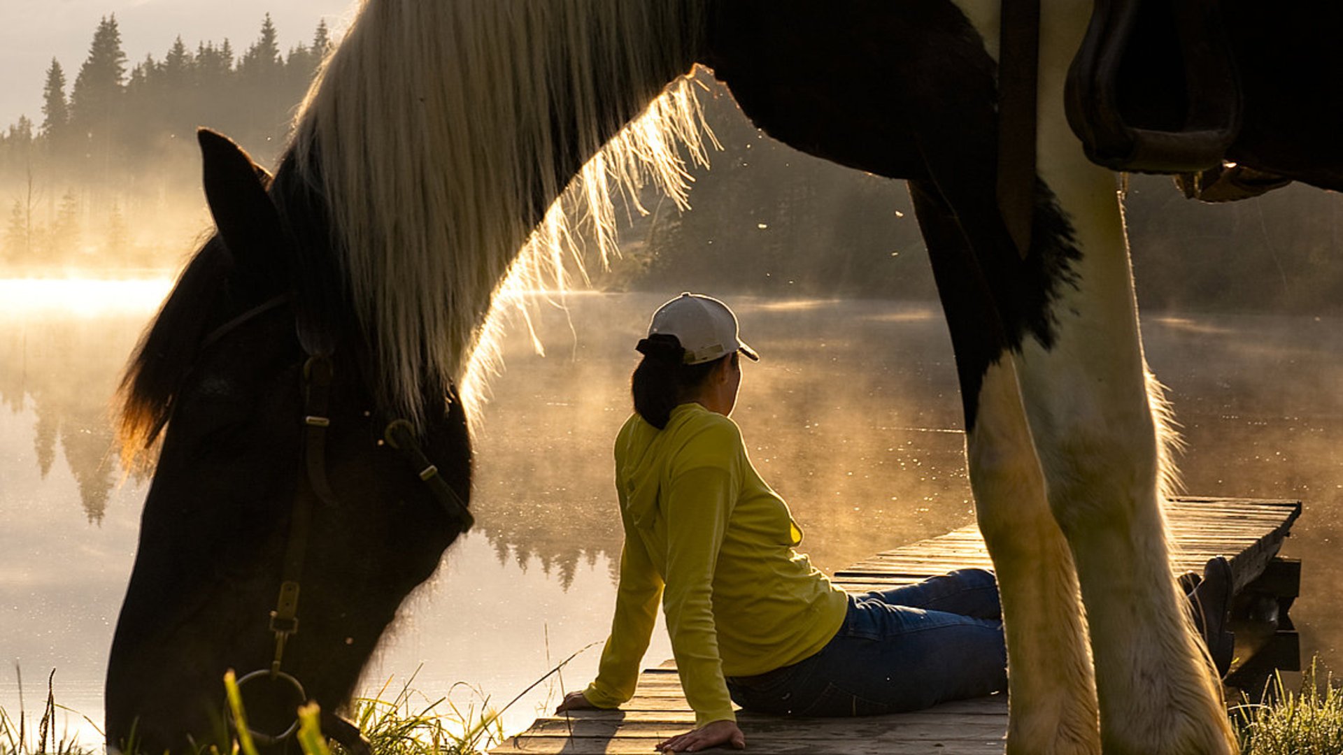 Foto: Oberösterreich Tourismus GmbH/Hermann Erber: Reiten in Oberösterreich Reiten in Oberösterreich