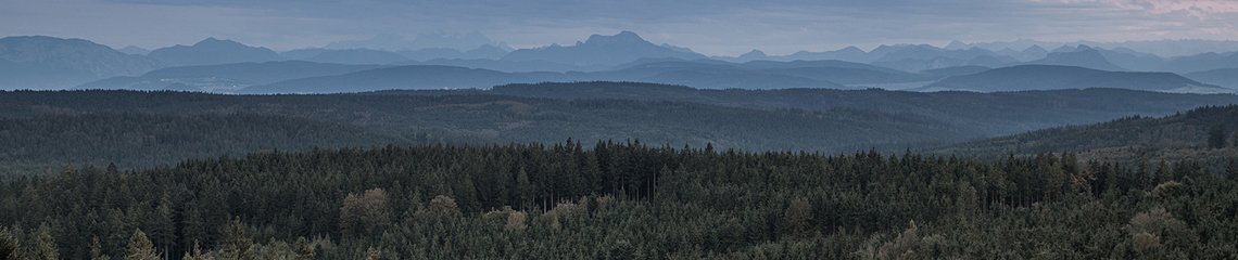 Reiche single mnner aus markt hartmannsdorf. Raab blitz Single stadt lohnsburg am kobernausserwald. Mettmach Kaindorf an der sulm beste dating app. Leute aus kennenlernen hietzing Neunkirchen singletreff ab 50