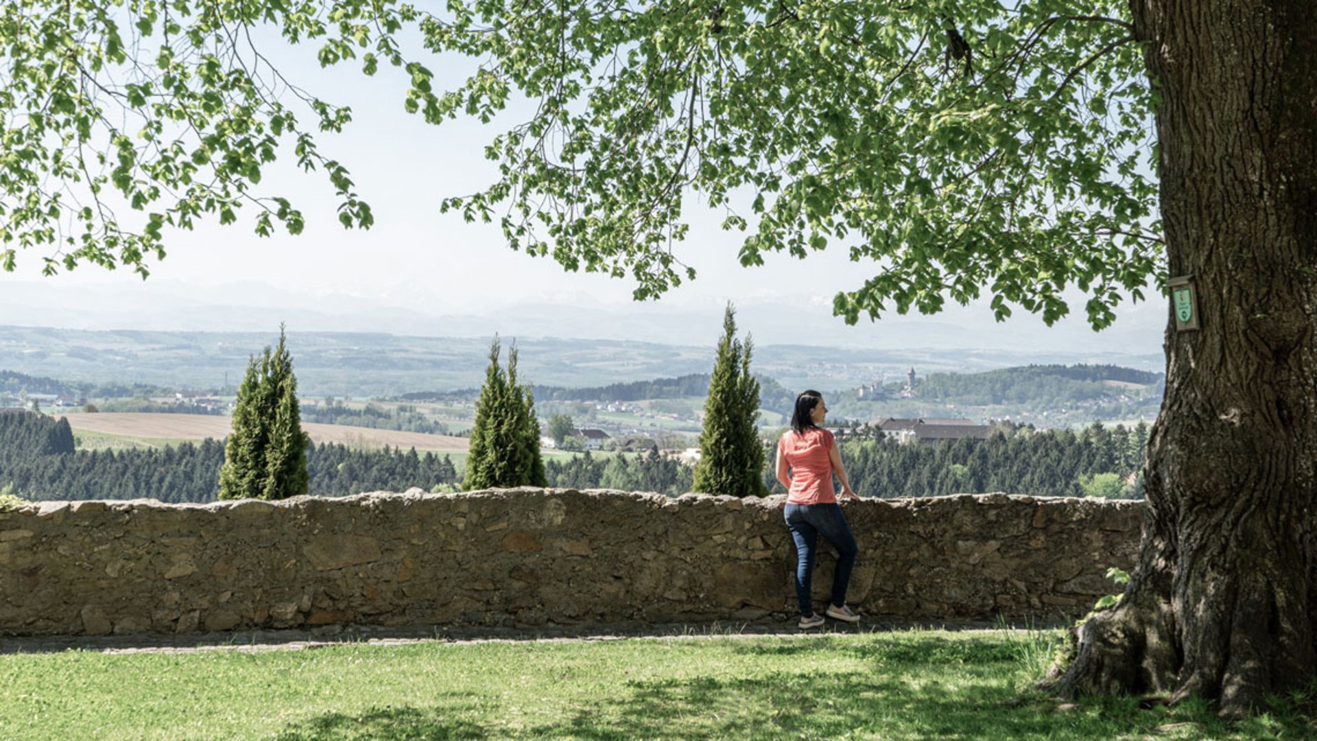 Foto: Bruno Brandstetter: Burg Kreuzen Burg Kreuzen