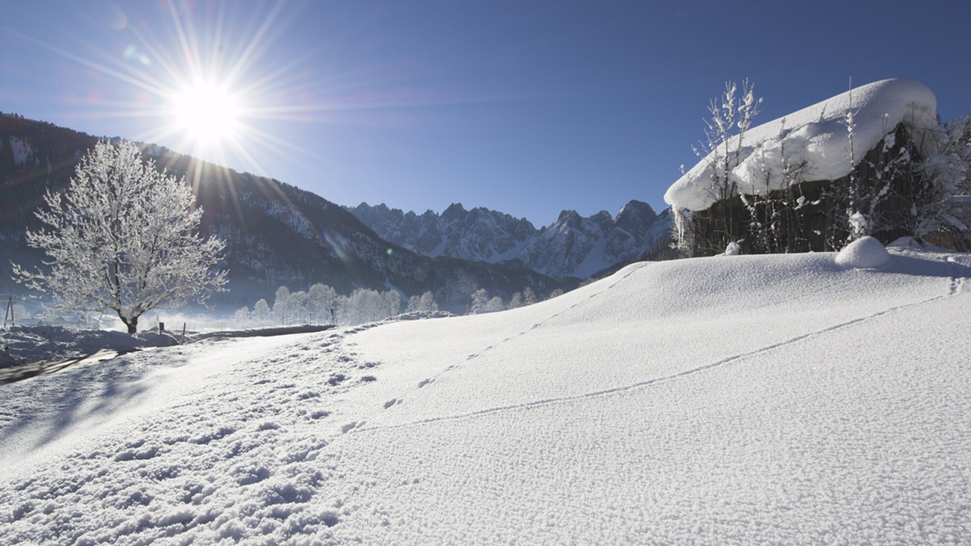 Foto: Oberösterreich Tourismus GmbH: Dachstein-Salzkammergut Tief verschneite Winterlandschaft im Salzkammergut mit einer schneebedeckten Hütte und dem Dachstein im Hintergrund